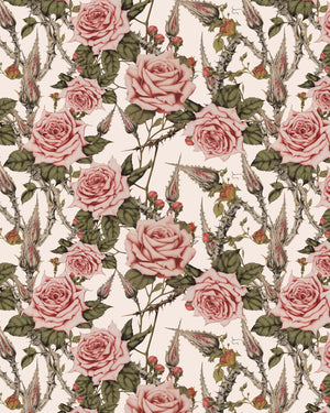 Hi Cut Lushy Thorny Rose - Short